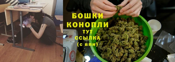 ГАЛЛЮЦИНОГЕННЫЕ ГРИБЫ Богородск