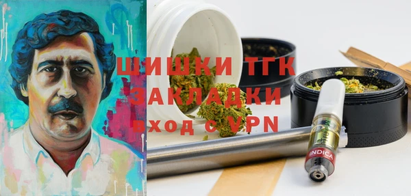 тгк Богородицк