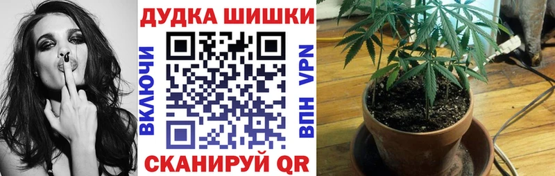 Бошки Шишки Ganja  где можно купить   Красный Кут 